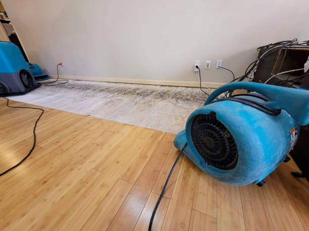Professional Ceiling Water Damage Repair technician working in Manson, WA